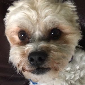 Meet your Posher, Mike